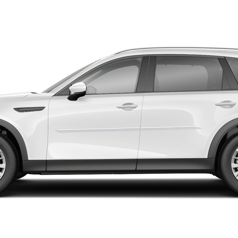 Painted Body Side Moldings : Mazda CX-90 / CX-70 Painted